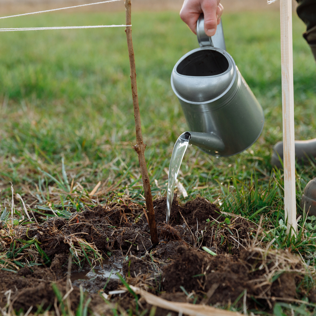 How Personal Growth Leads to Purposeful Leadership
